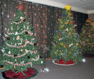 Cats-Flowers-LogCabin Trees Hoover