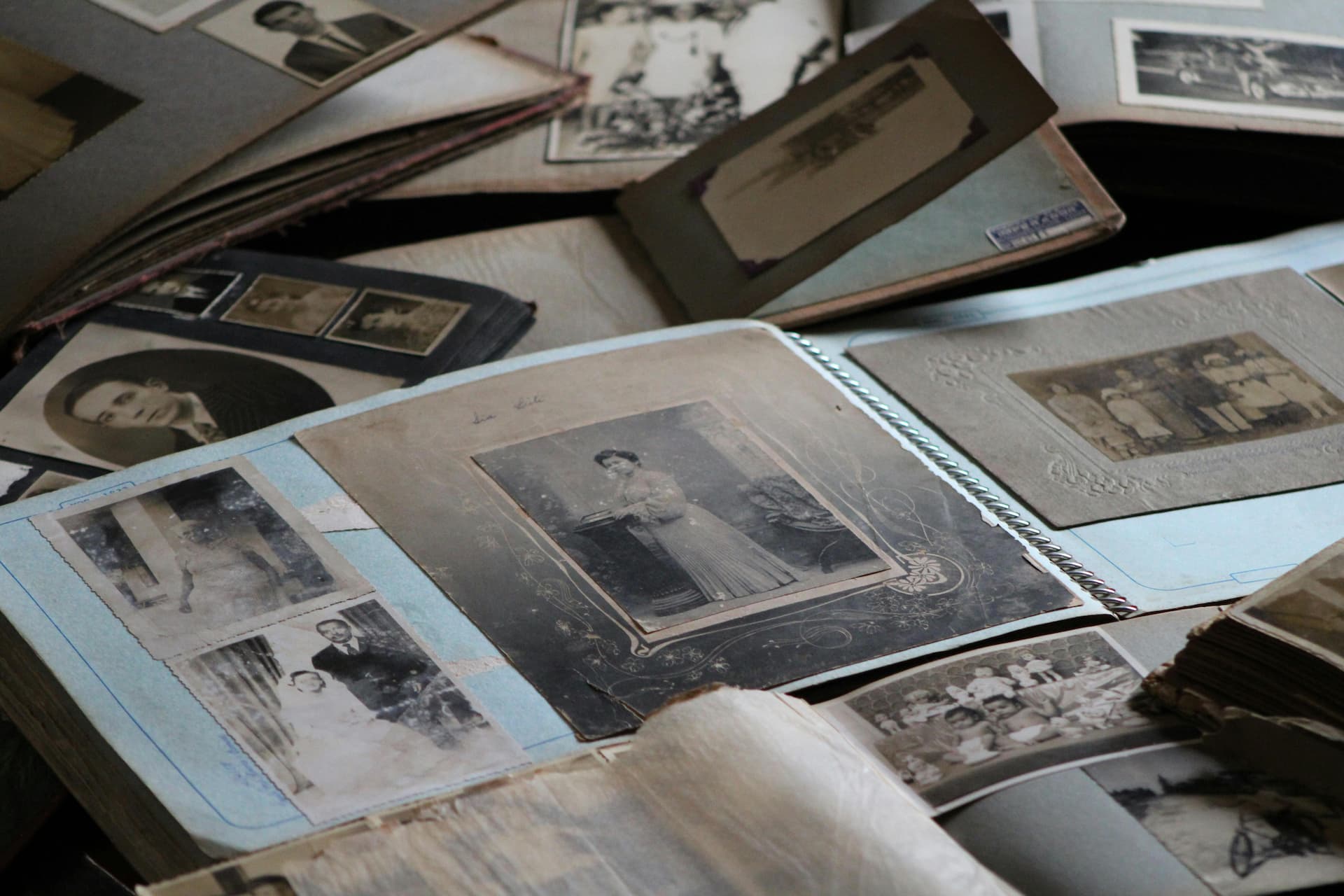 family history search in the U.S.